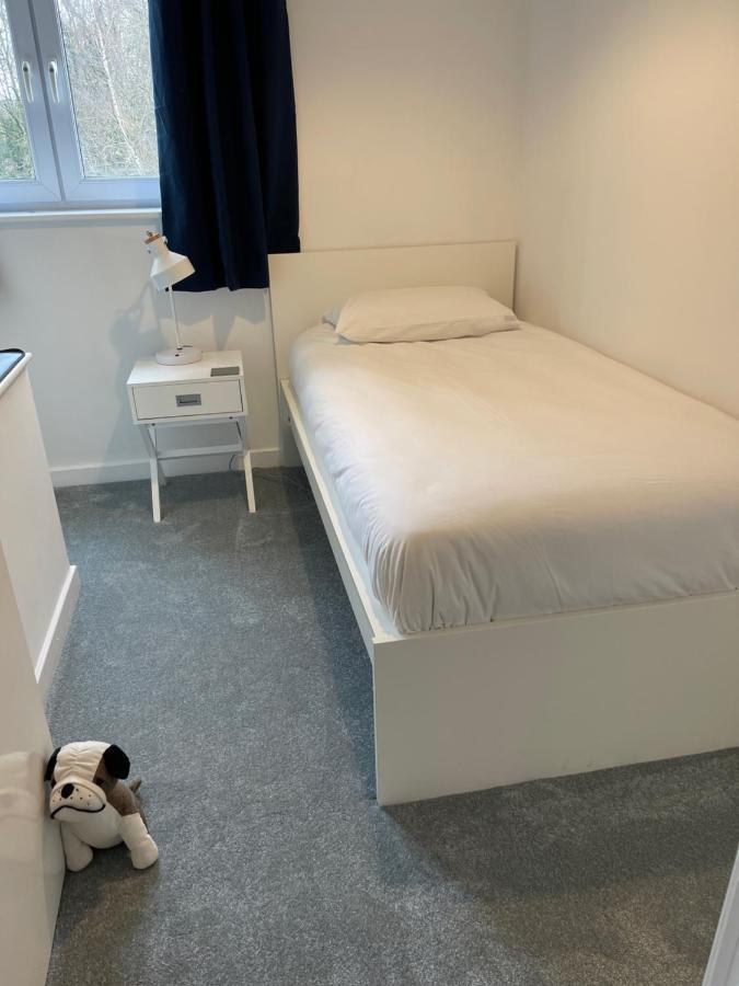 The Beeches - Serviced Duplex Apartment เชฟฟิลด์ ภายนอก รูปภาพ